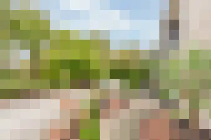 Van Oldenbarneveltstraat 3 Nijkerk thumbnail 6