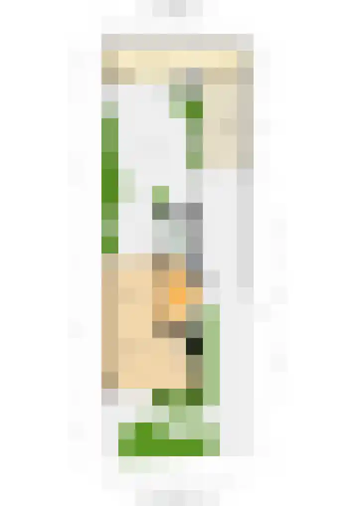 Van Oldenbarneveltstraat 3 Nijkerk thumbnail 67