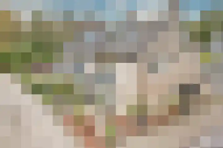 Van Oldenbarneveltstraat 3 Nijkerk thumbnail 7