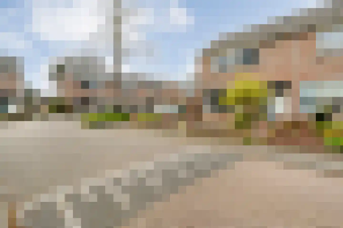 Van Oldenbarneveltstraat 36 Olst thumbnail 4