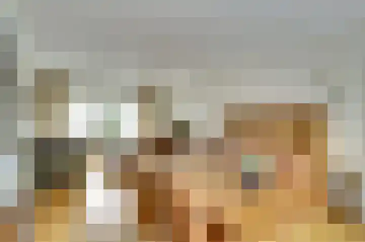 Van Oldenbarneveltstraat 4 Drunen thumbnail 11