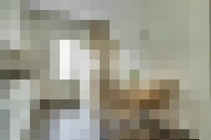 Van Oldenbarneveltstraat 4 Drunen thumbnail 13