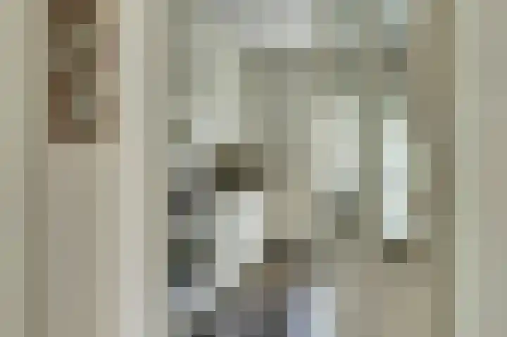 Van Oldenbarneveltstraat 4 Drunen thumbnail 14