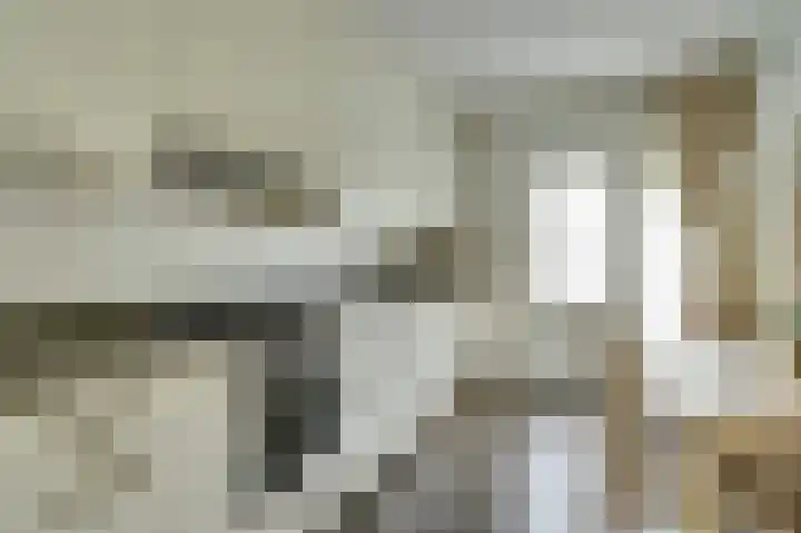 Van Oldenbarneveltstraat 4 Drunen thumbnail 15