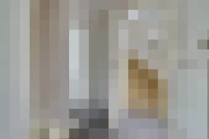 Van Oldenbarneveltstraat 4 Drunen thumbnail 16