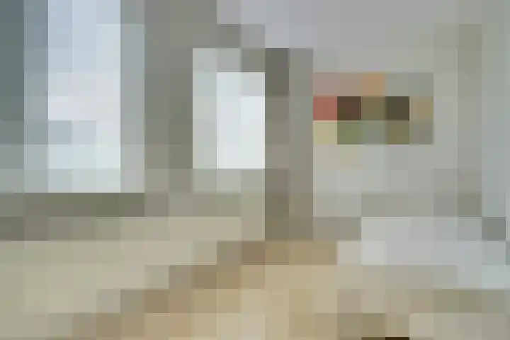 Van Oldenbarneveltstraat 4 Drunen thumbnail 19