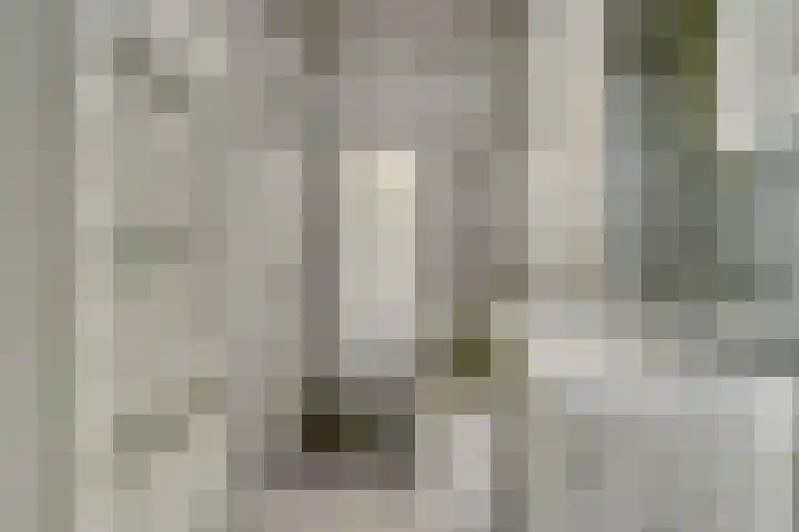 Van Oldenbarneveltstraat 4 Drunen thumbnail 24
