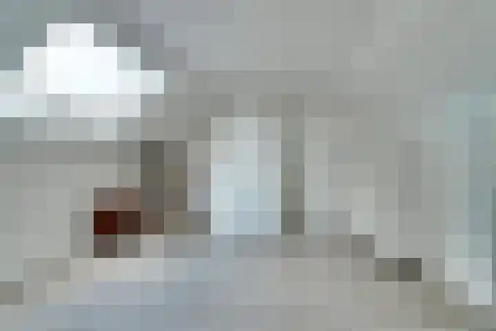Van Oldenbarneveltstraat 4 Drunen thumbnail 27