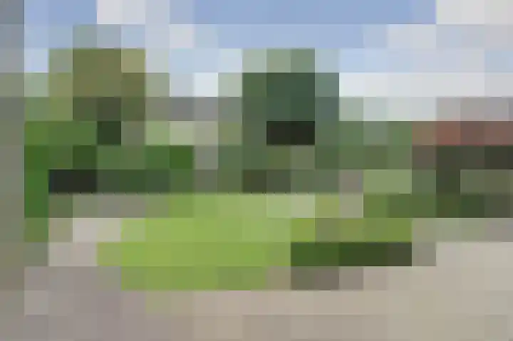 Van Oldenbarneveltstraat 4 Drunen thumbnail 29