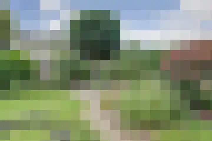 Van Oldenbarneveltstraat 4 Drunen thumbnail 32