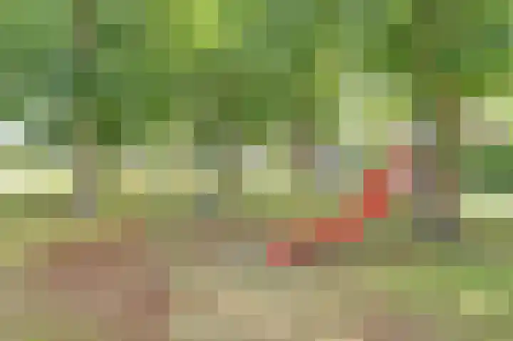 Van Oldenbarneveltstraat 4 Drunen thumbnail 5