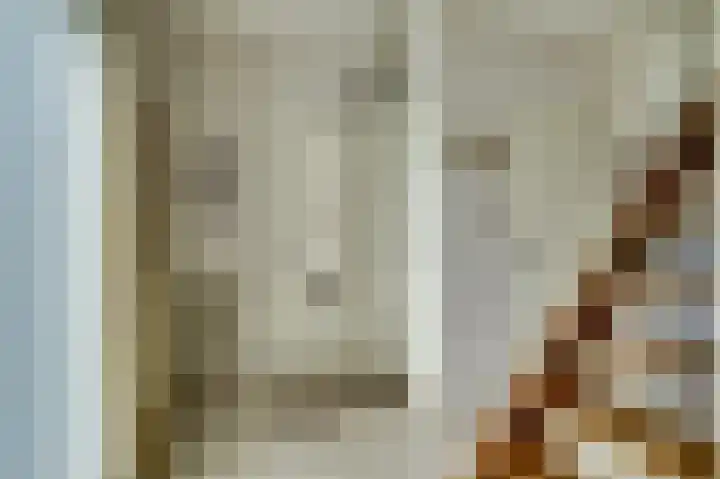 Van Oldenbarneveltstraat 4 Drunen thumbnail 6