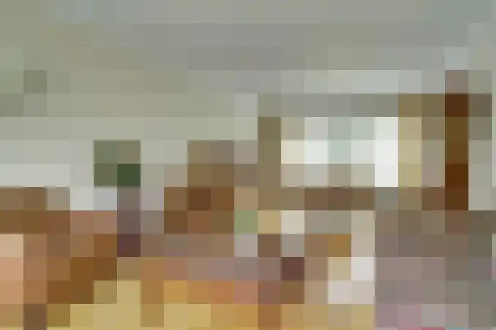 Van Oldenbarneveltstraat 4 Drunen thumbnail 7
