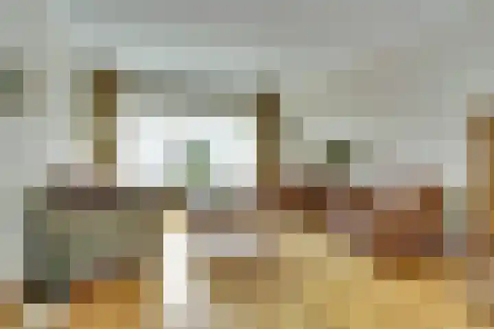 Van Oldenbarneveltstraat 4 Drunen thumbnail 8
