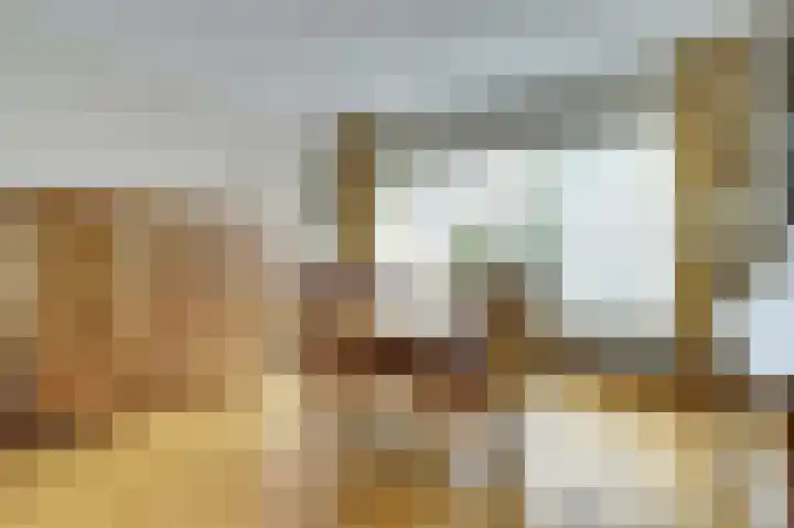 Van Oldenbarneveltstraat 4 Drunen thumbnail 9