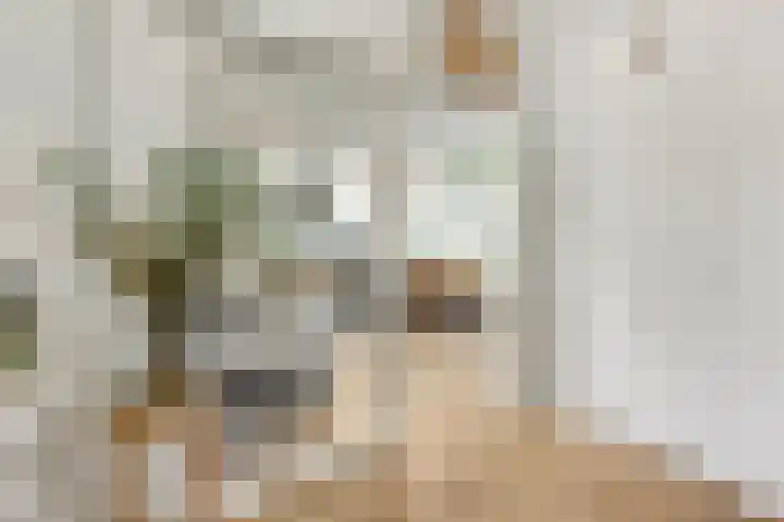 Van Oldenbarneveltstraat 402 Nijkerk thumbnail 12