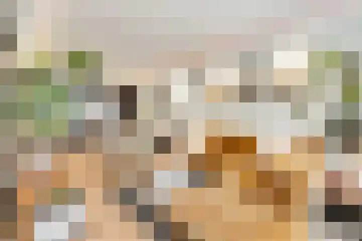 Van Oldenbarneveltstraat 402 Nijkerk thumbnail 15