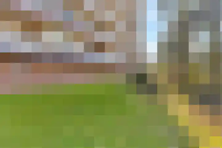 Van Oldenbarneveltstraat 402 Nijkerk thumbnail 32