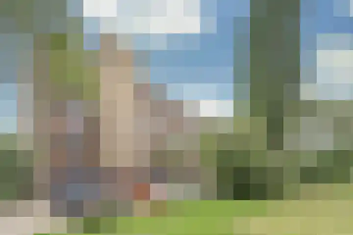 Van Oldenbarneveltstraat 424 Nijkerk thumbnail 33