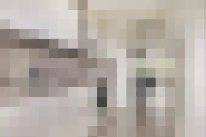 Van Oldenbarneveltstraat 426 Nijkerk thumbnail 10