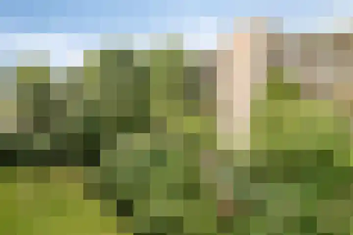 Van Oldenbarneveltstraat 426 Nijkerk thumbnail 25