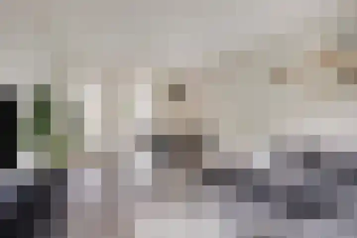 Van Oldenbarneveltstraat 426 Nijkerk thumbnail 6
