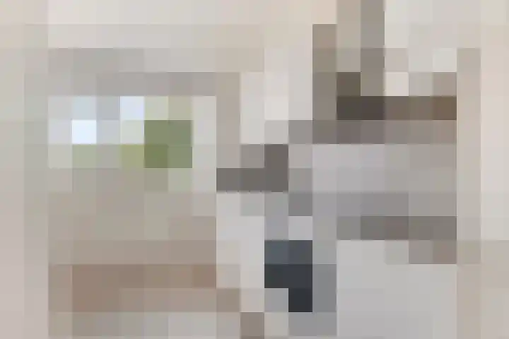 Van Oldenbarneveltstraat 426 Nijkerk thumbnail 9