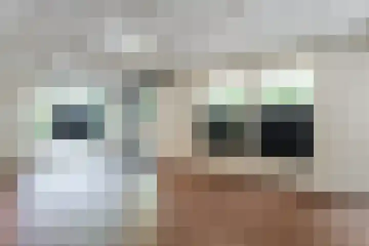 Van Oldenbarneveltstraat 452 Nijkerk thumbnail 4