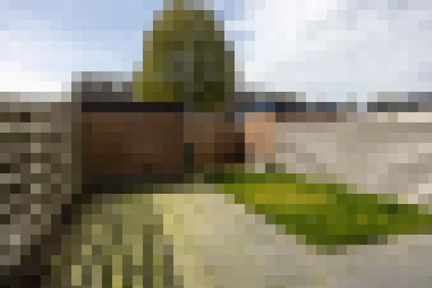 Van Oldenbarneveltstraat 46 Achterveld thumbnail 32