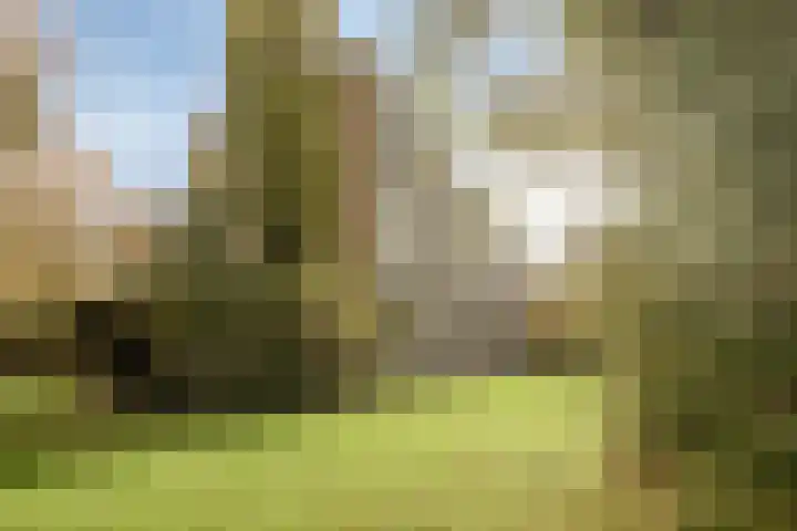 Van Oldenbarneveltstraat 501 Nijkerk thumbnail 27