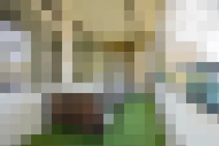 Van Oldenbarneveltstraat 511 Nijkerk thumbnail 16