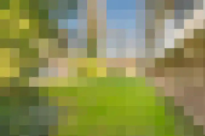 Van Oldenbarneveltstraat 511 Nijkerk thumbnail 38