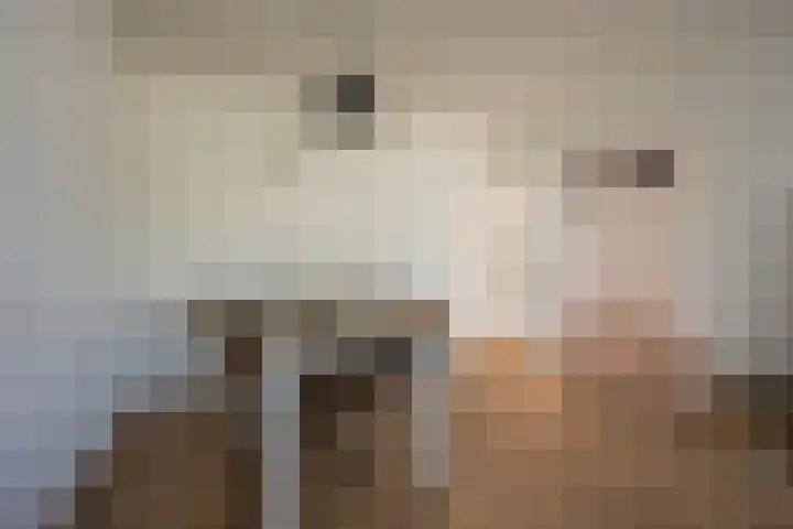 Van Oldenbarneveltstraat 511 Nijkerk thumbnail 5