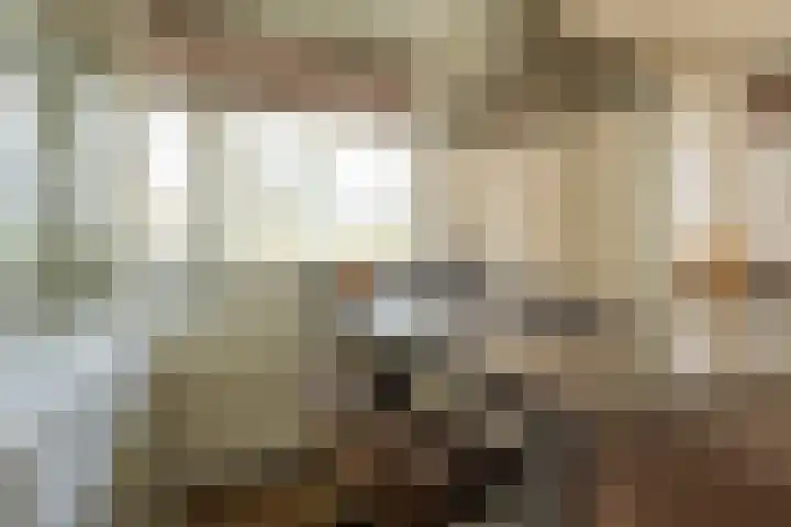 Van Oldenbarneveltstraat 511 Nijkerk thumbnail 8