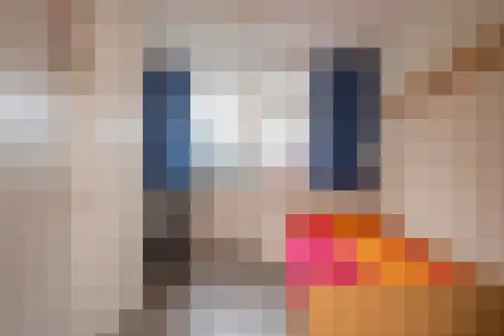 Van Oldenbarneveltstraat 52 Nijkerk thumbnail 16