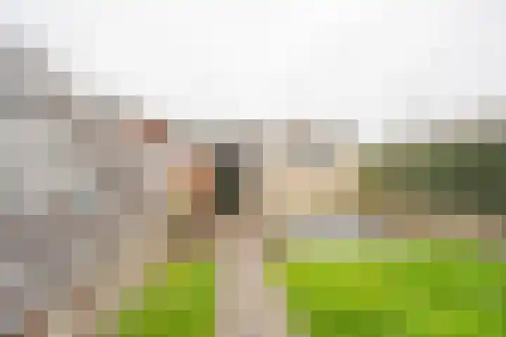 Van Oldenbarneveltstraat 52 Nijkerk thumbnail 30