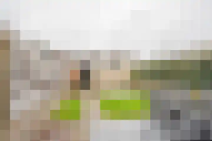 Van Oldenbarneveltstraat 52 Nijkerk thumbnail 31