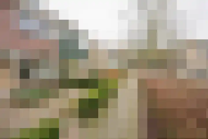 Van Oldenbarneveltstraat 52 Nijkerk thumbnail 36