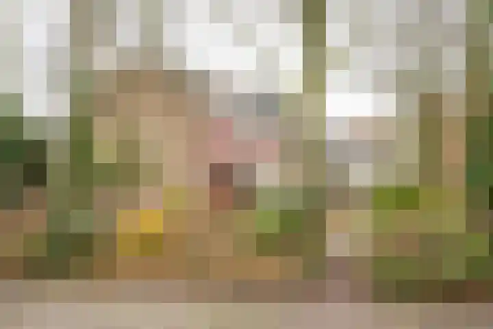 Van Oldenbarneveltstraat 52 Nijkerk thumbnail 38