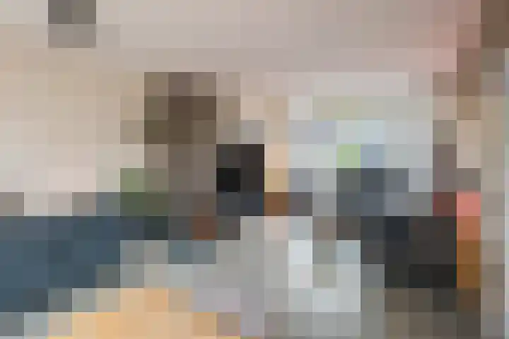 Van Oldenbarneveltstraat 52 Olst thumbnail 6
