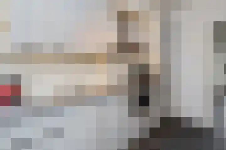 Van Oldenbarneveltstraat 52 Olst thumbnail 9