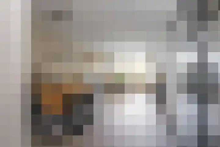 Van Oldenbarneveltstraat 523 Nijkerk thumbnail 14