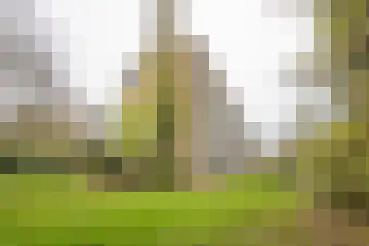 Van Oldenbarneveltstraat 523 Nijkerk thumbnail 36
