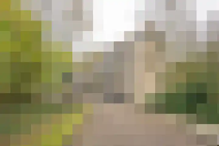 Van Oldenbarneveltstraat 523 Nijkerk thumbnail 37