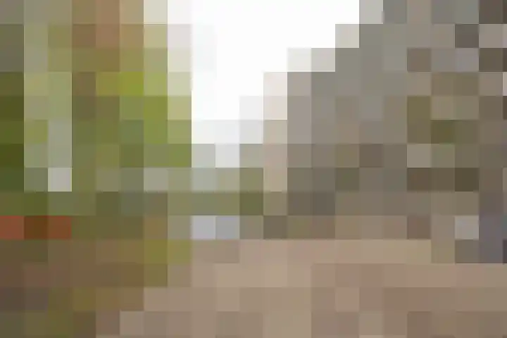 Van Oldenbarneveltstraat 523 Nijkerk thumbnail 38