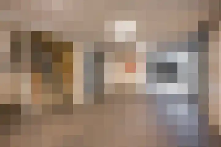 Van Oldenbarneveltstraat 523 Nijkerk thumbnail 6