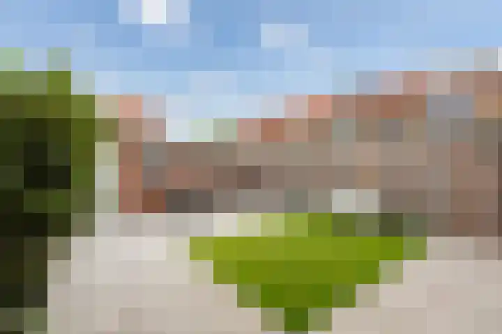 van Oldenbarneveltstraat 53 Zuid-Beijerland thumbnail 32