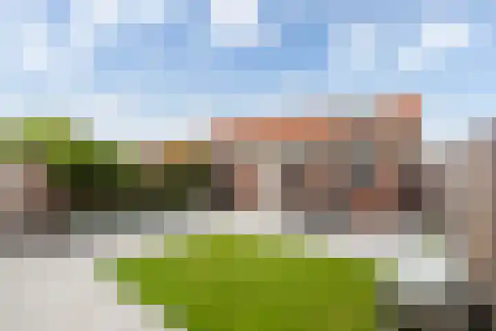 van Oldenbarneveltstraat 53 Zuid-Beijerland thumbnail 33