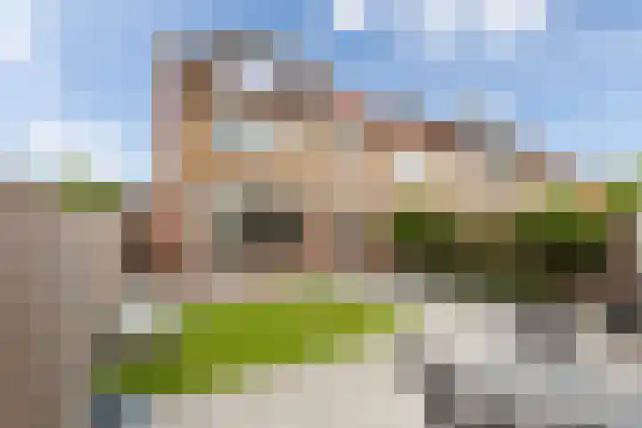 van Oldenbarneveltstraat 53 Zuid-Beijerland thumbnail 34