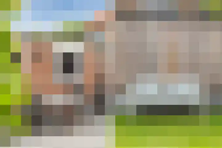 van Oldenbarneveltstraat 53 Zuid-Beijerland thumbnail 35